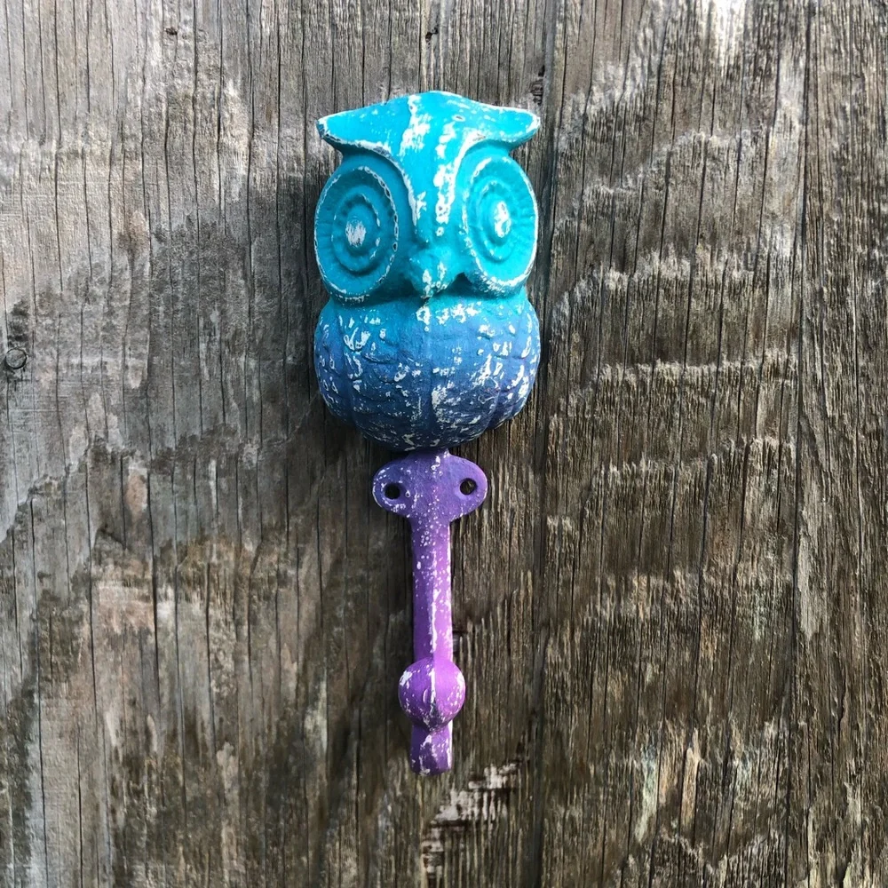 Upcycled Blue and Purple Cast Iron Owl Hook